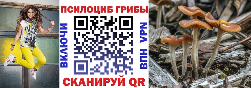Галлюциногенные грибы MAGIC MUSHROOMS  ОМГ ОМГ зеркало  Козельск 
